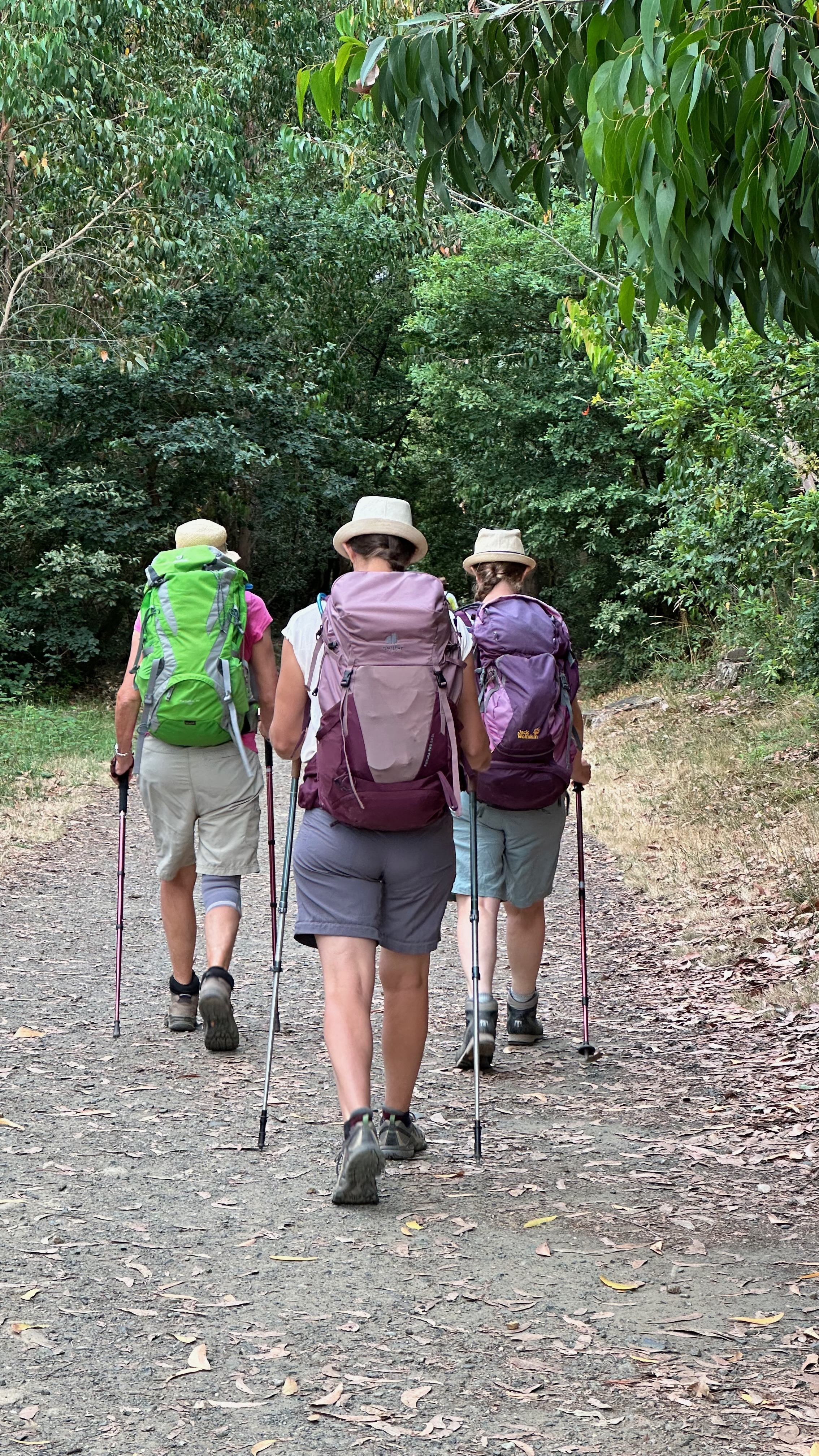 Day 6 - Walk from Arzùa to O Pedrouzo