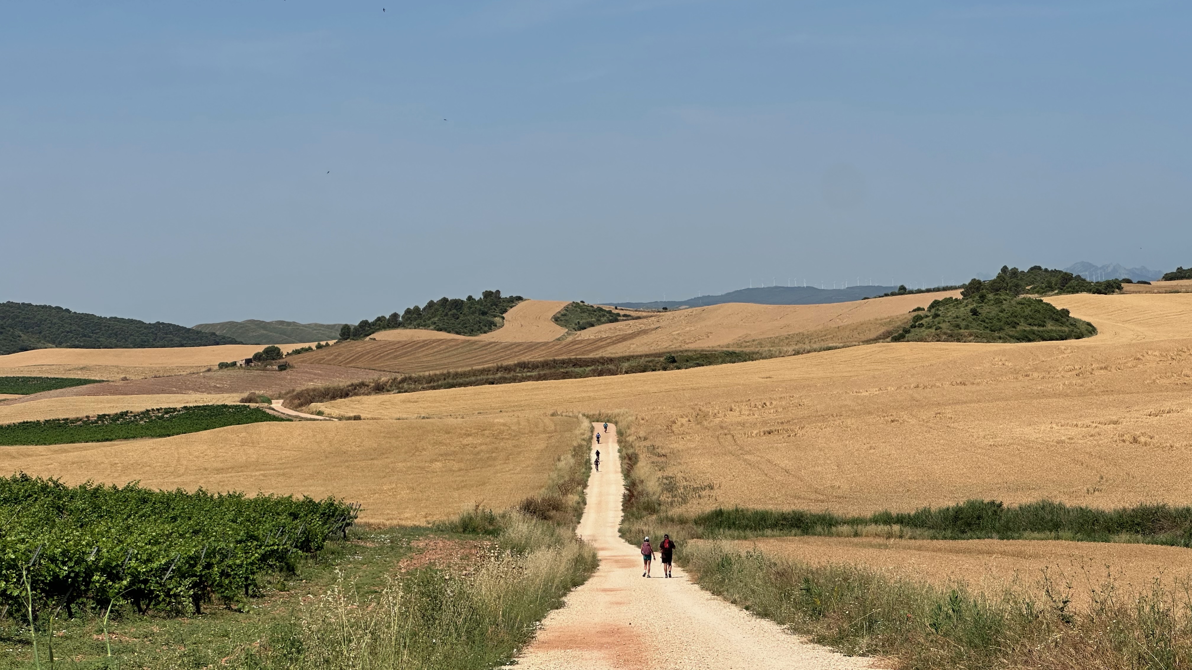 Day 8 - Estella to Los Arco