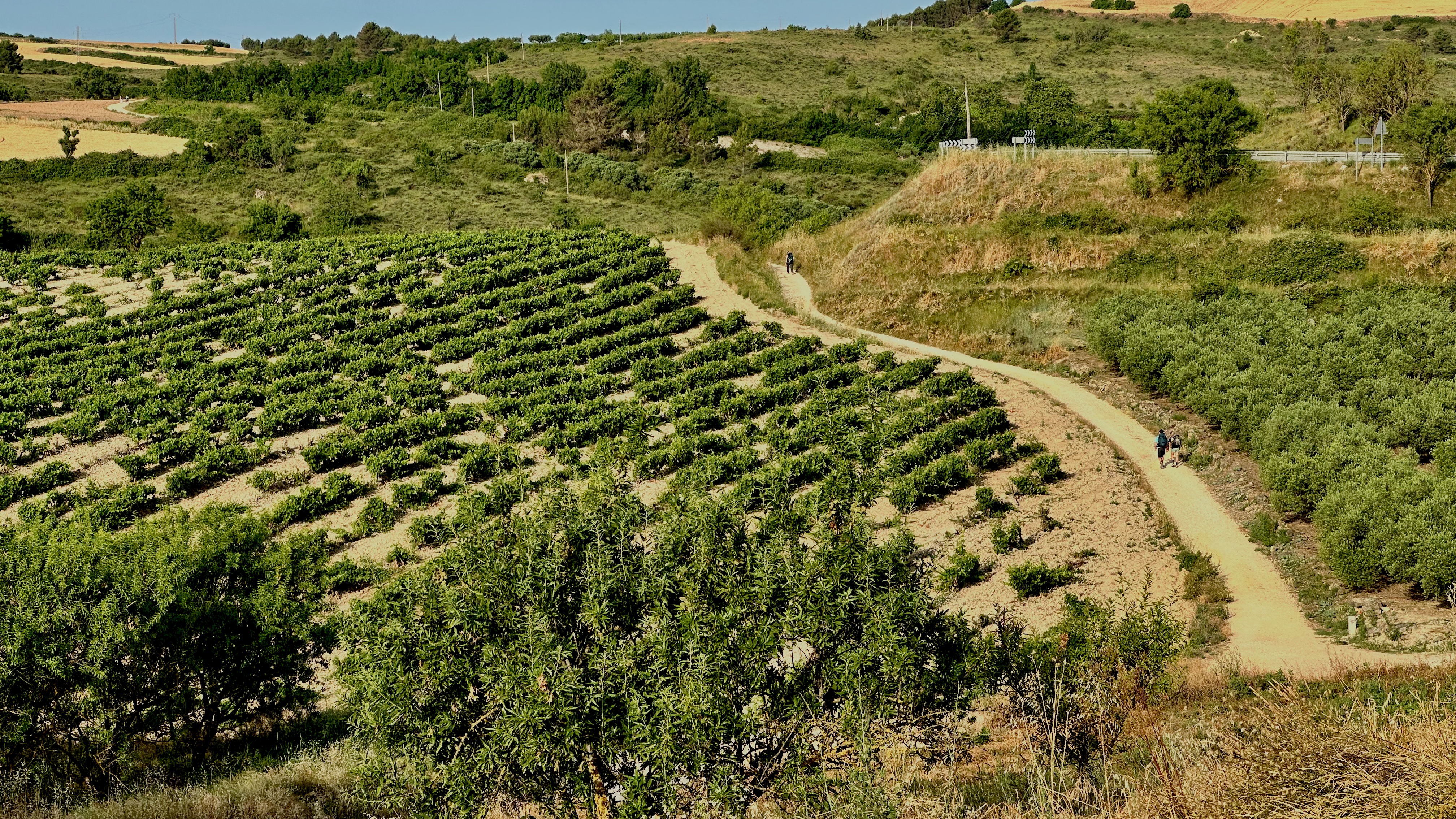 Day 9 - Los Arcos to Viana