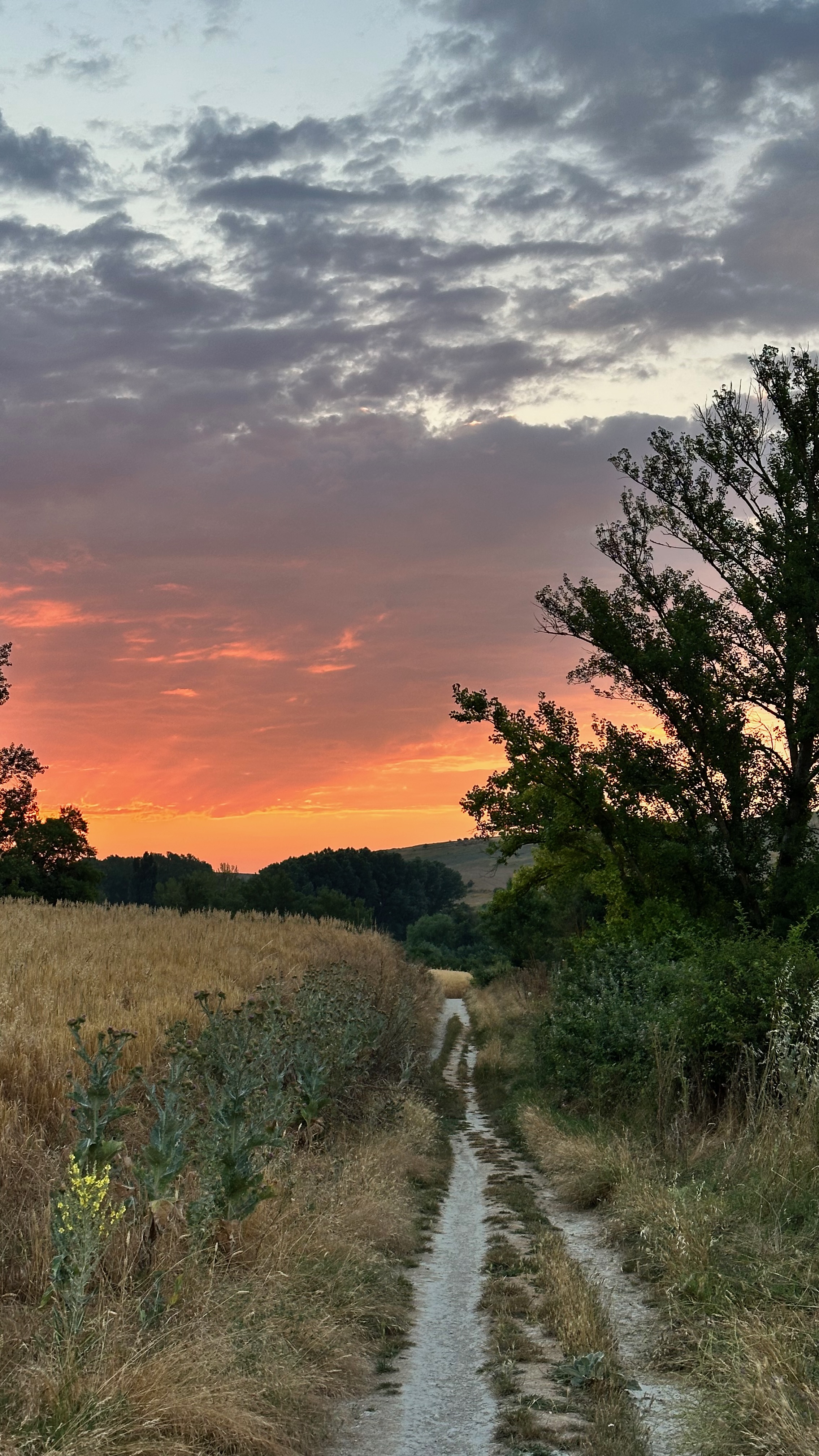 Day 18 - Hornillos del Camino to Castrojeríz