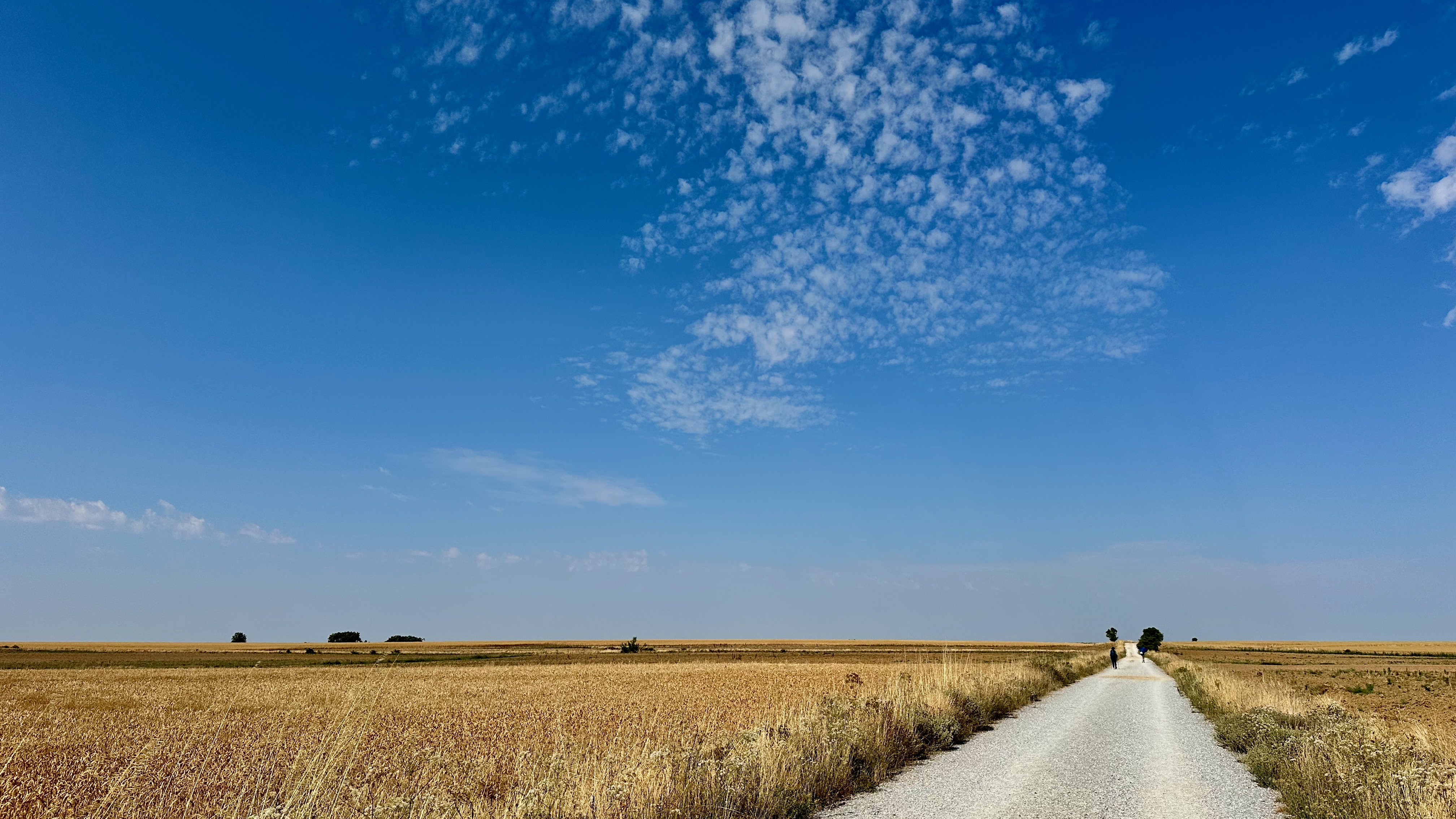Day 21 - Carrión de los Condes to Ledigos