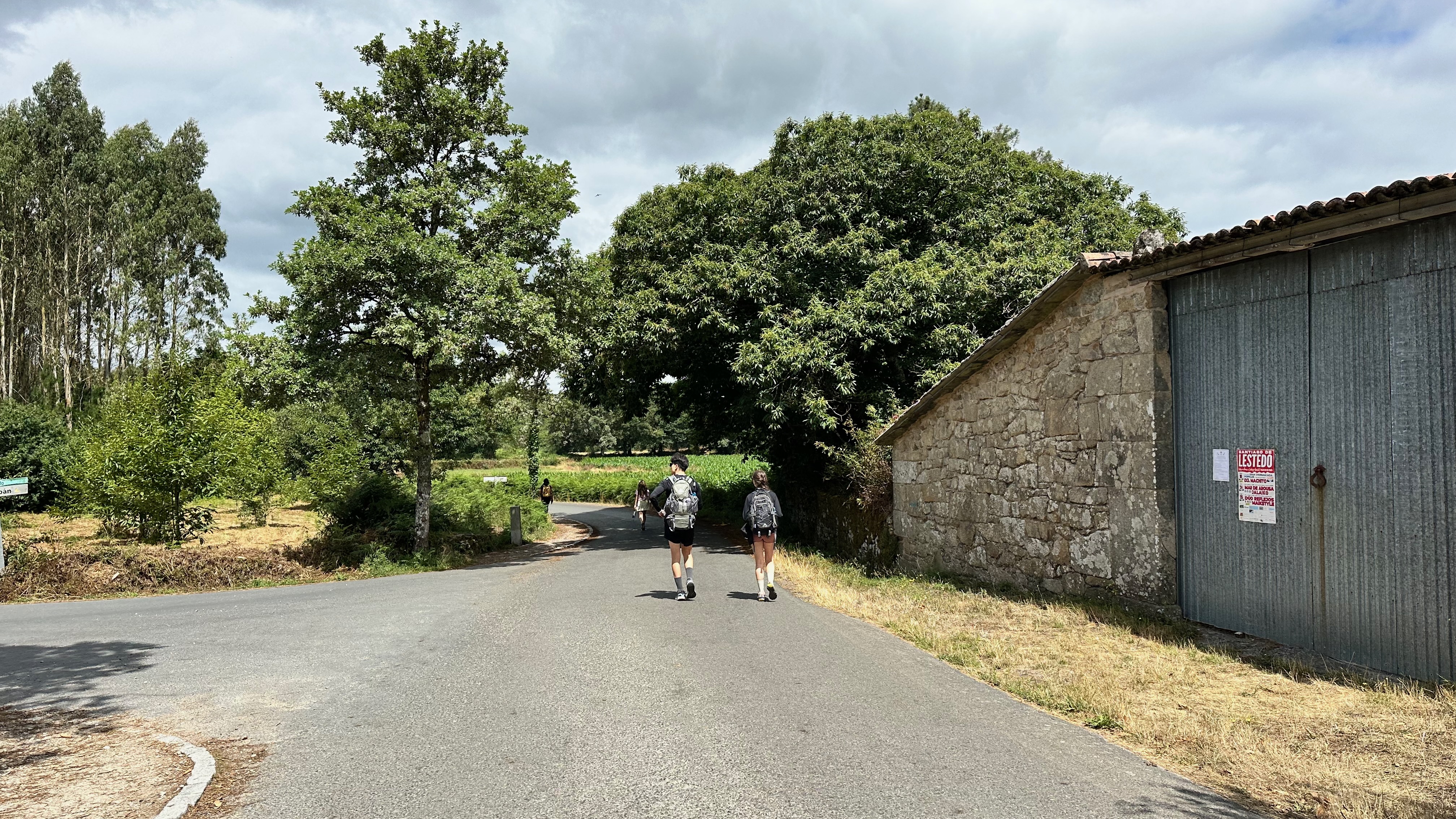 Day 37 - Portomarín to Palas de Rei