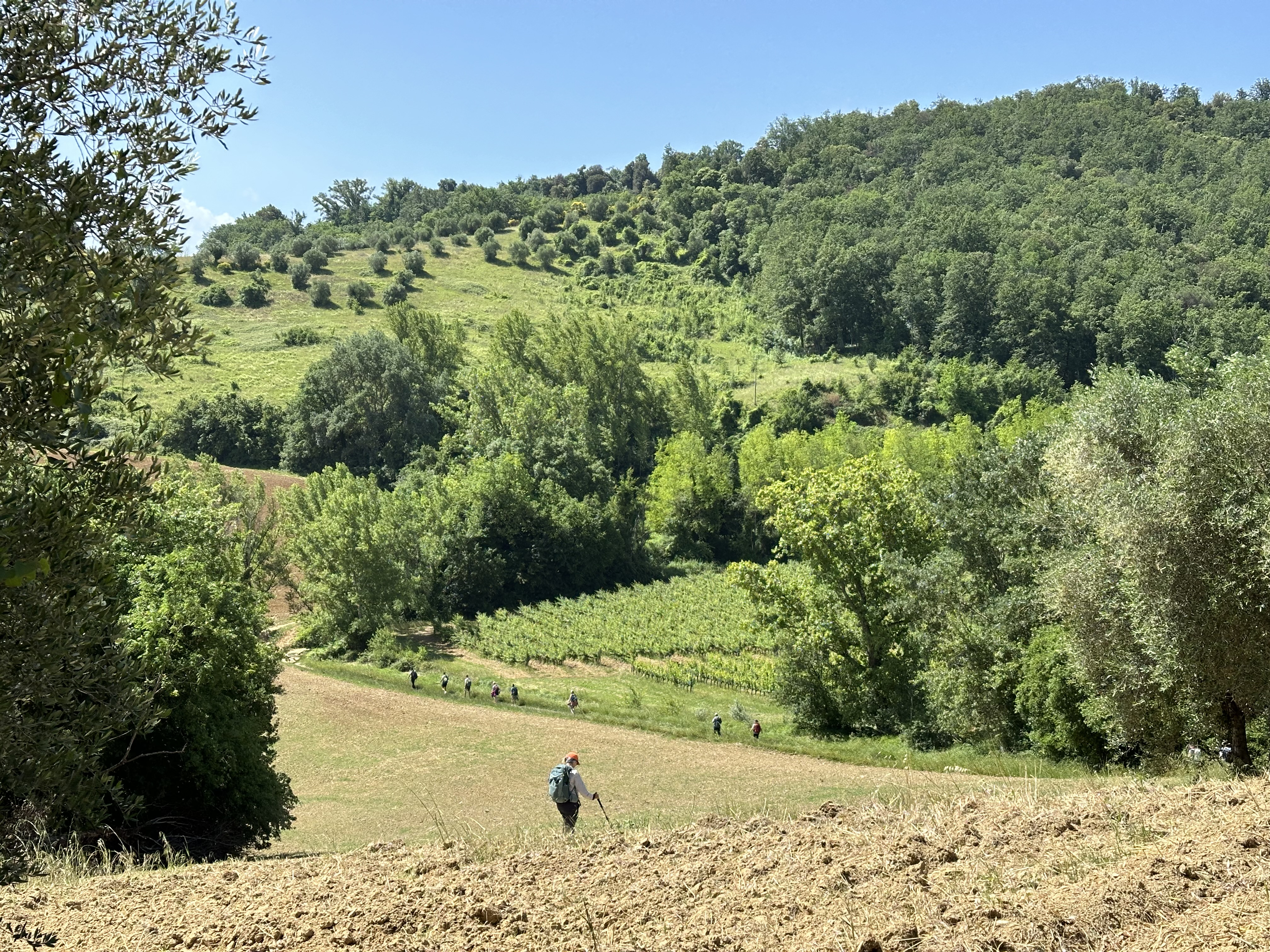 Day 6 - Gambassi Terme to San Gimignano