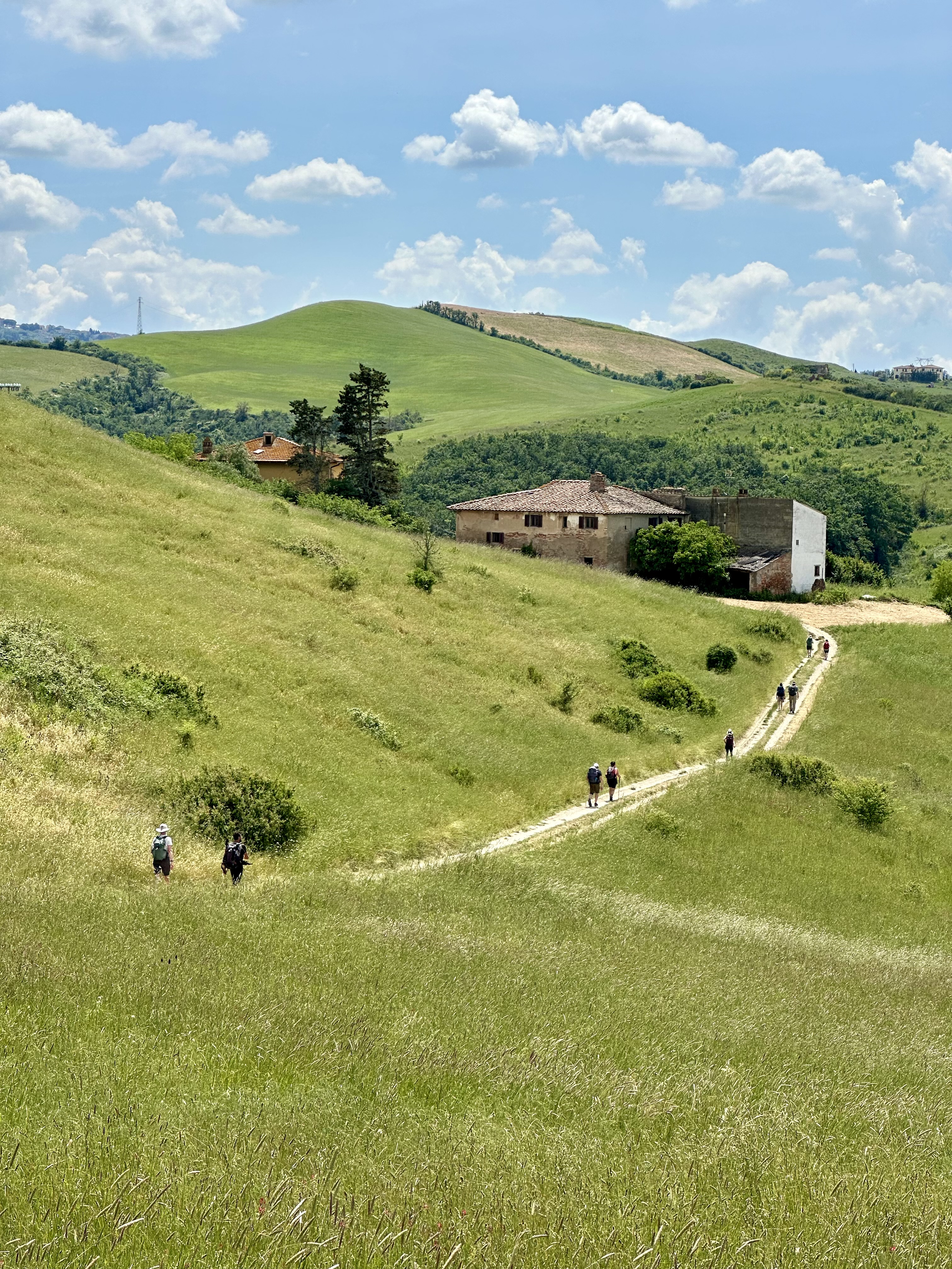 Day 5 - San Miniato to Gambassi Terme