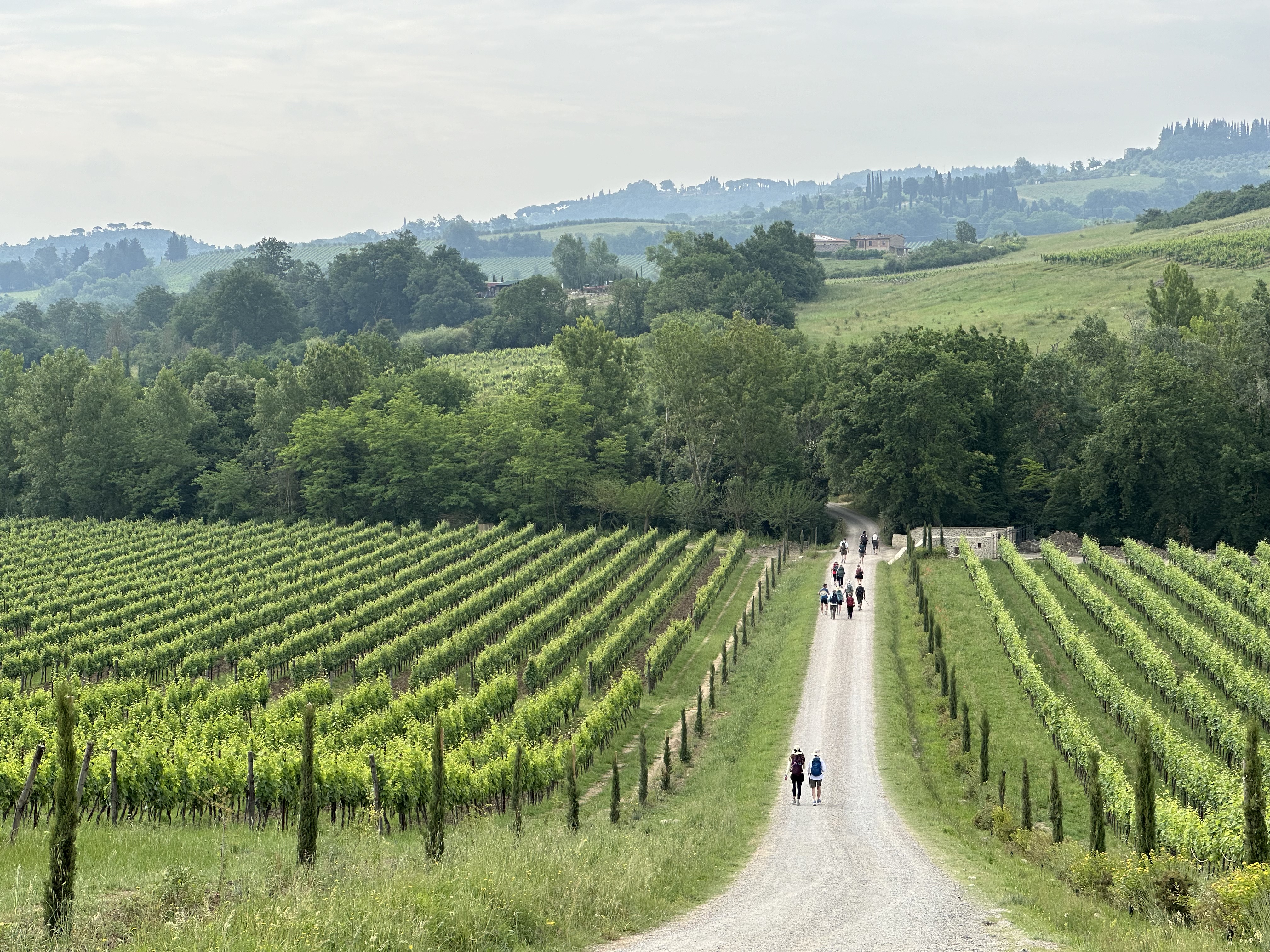 Day 7 - Gambassi Terme to San Gimignano