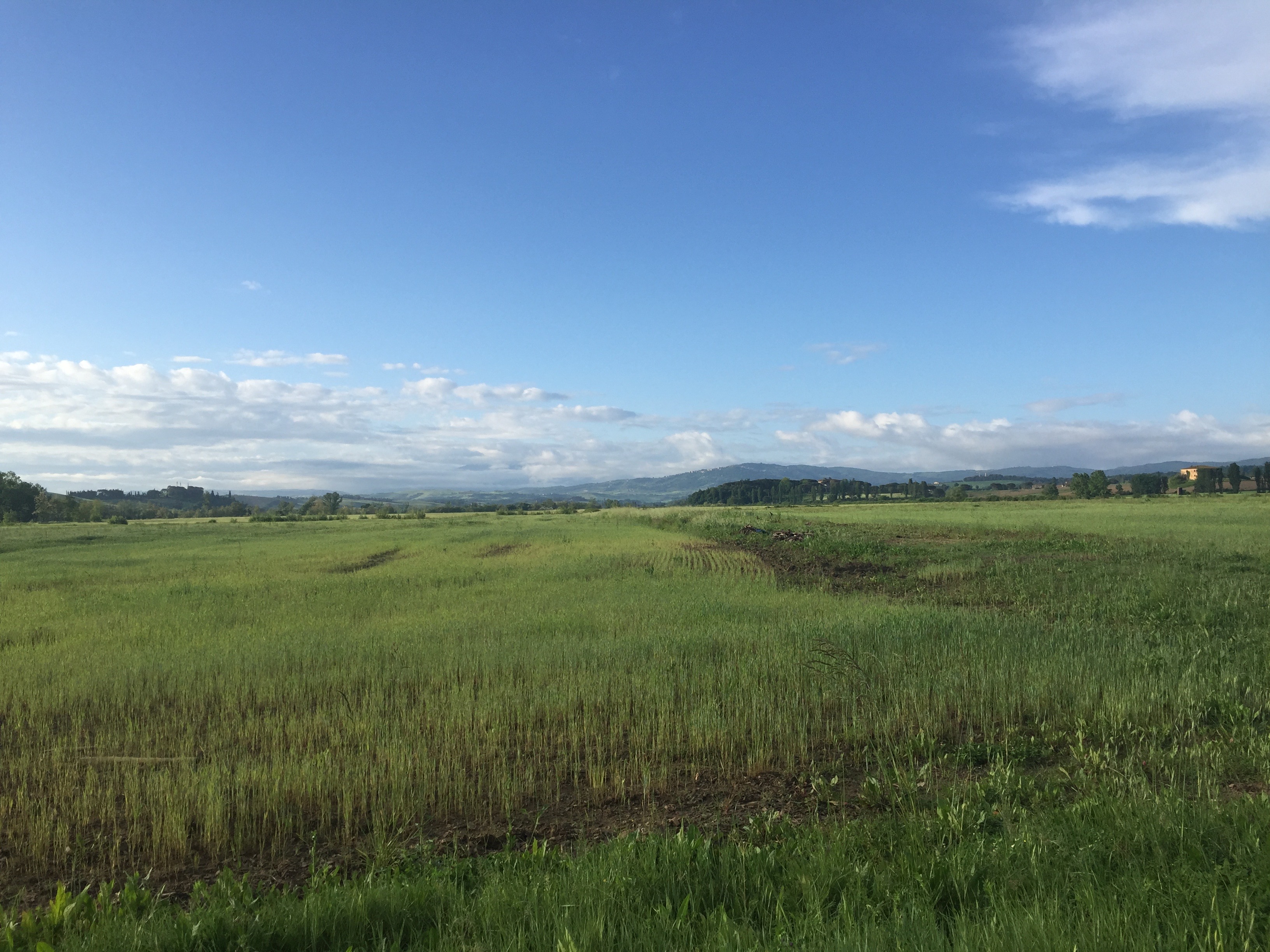 Day 3 - Siena to Ponte d'Arbia