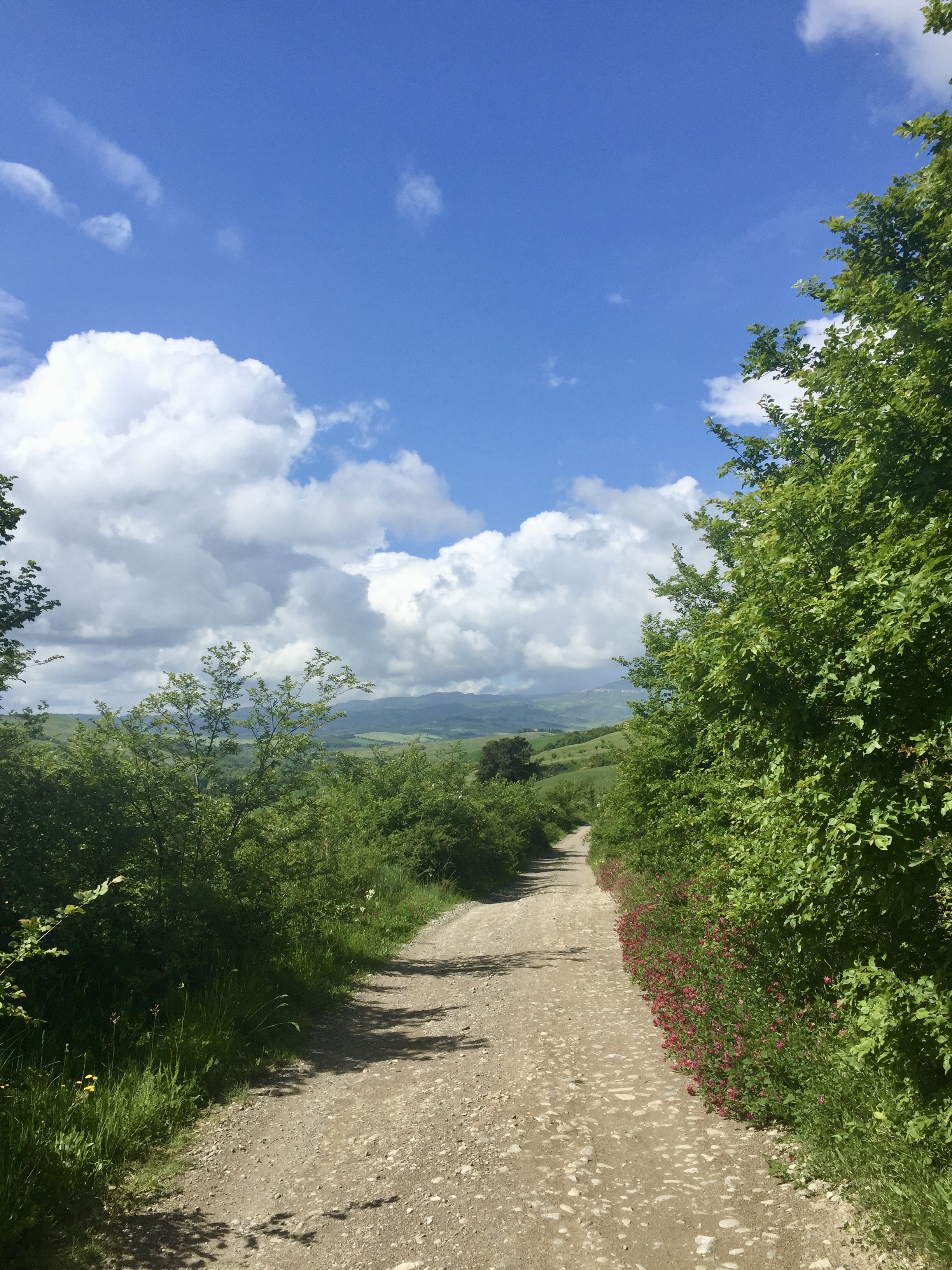 Day 7 - Radicofani to Acquapendente