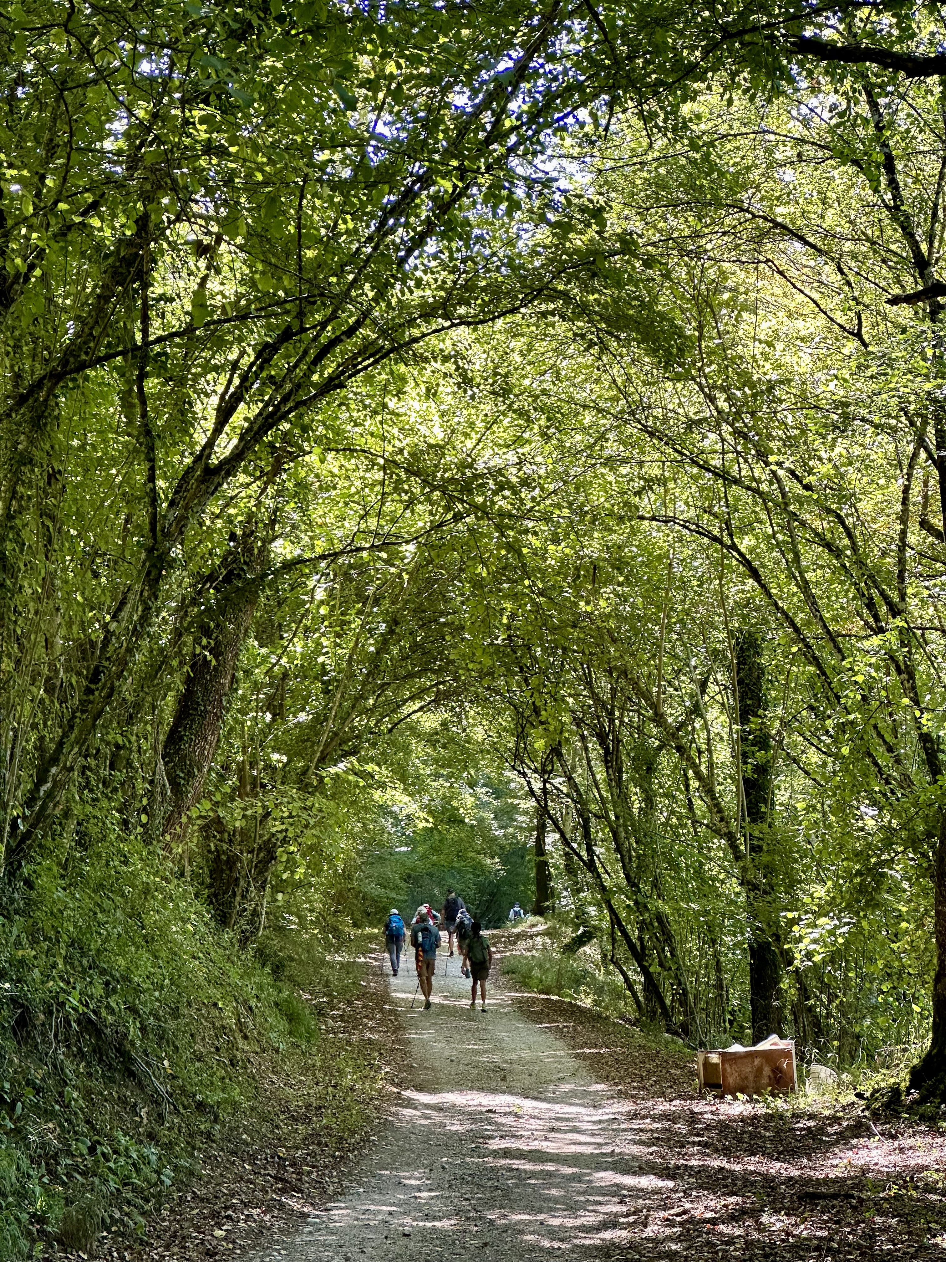 Day 2 - Rieti to Poggio San Lorenzo