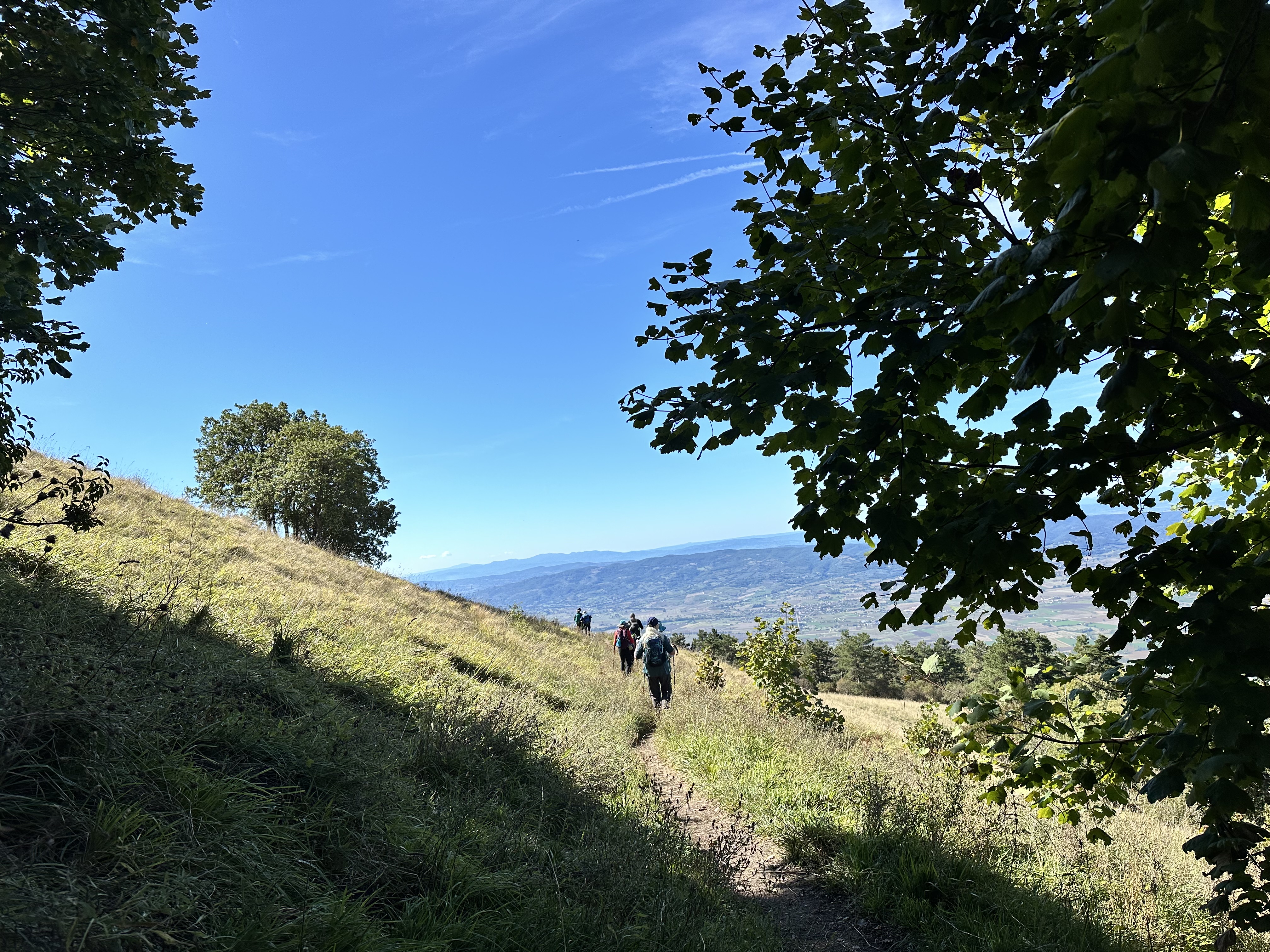 Day 2 - Assisi to Spello