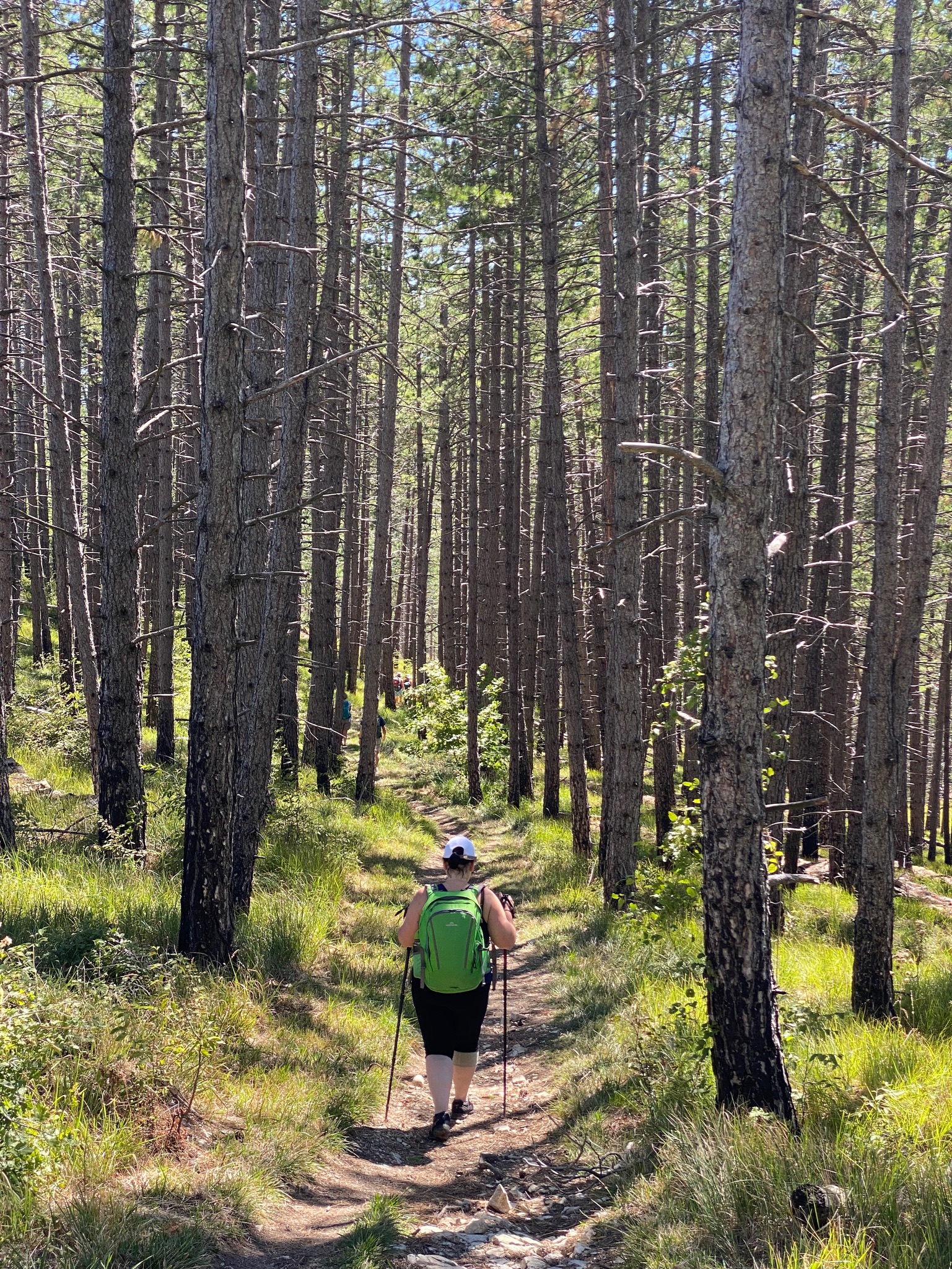 Day 2 - La Verna to Pieve Santo Stefano