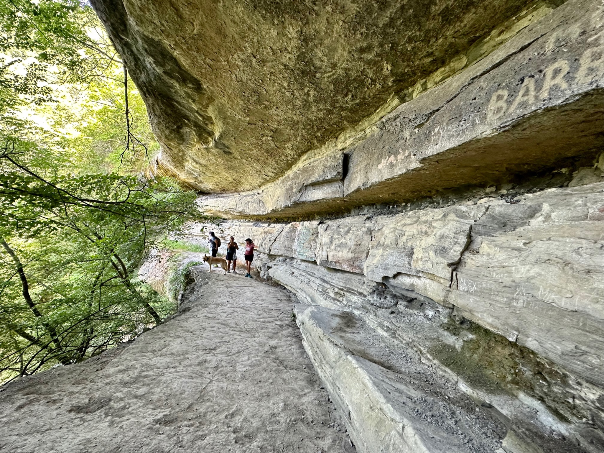 Day 4 - La Montagna to Sansepolcro