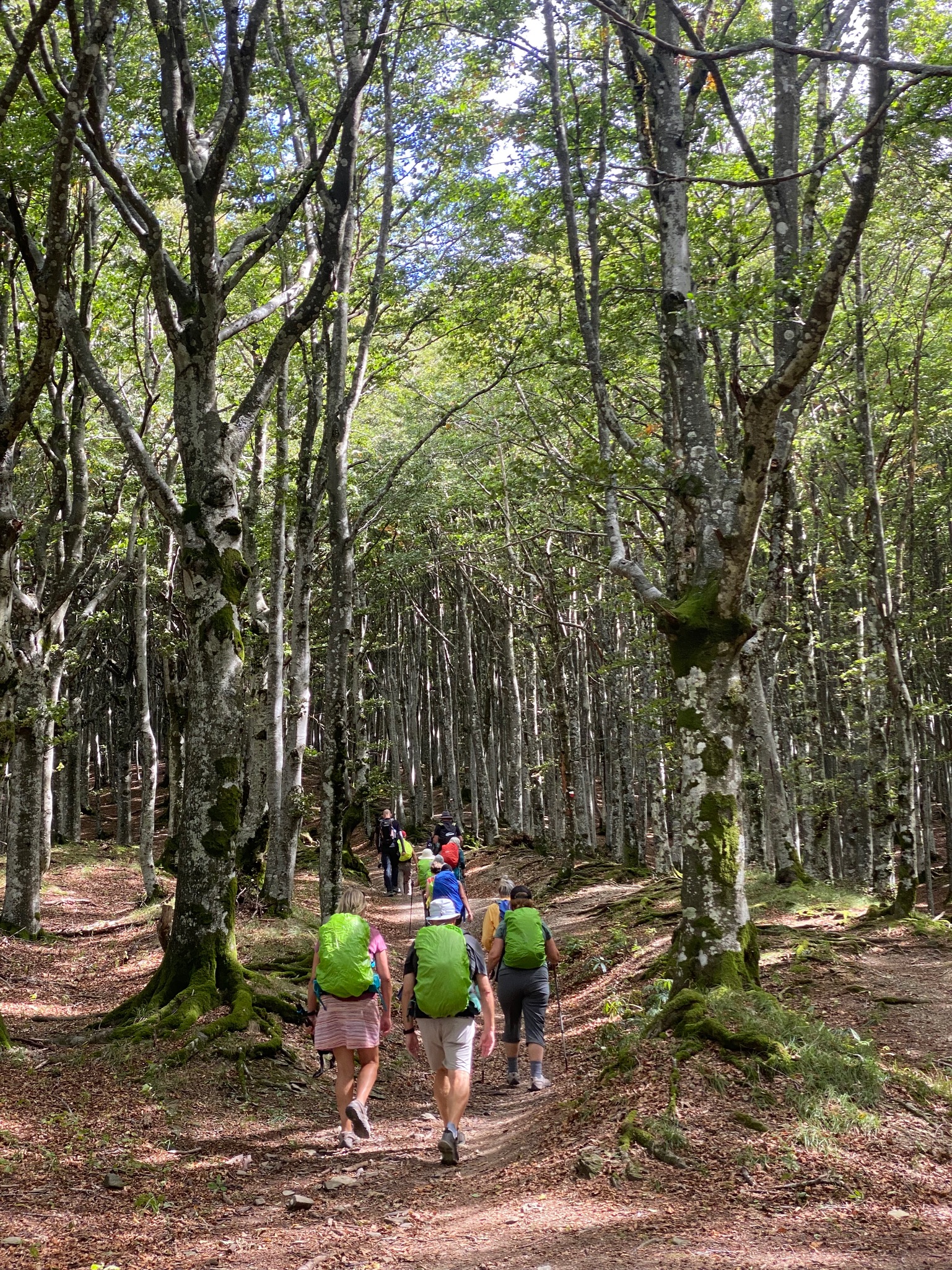 Day 6 - Camaldoli to Badia Prataglia