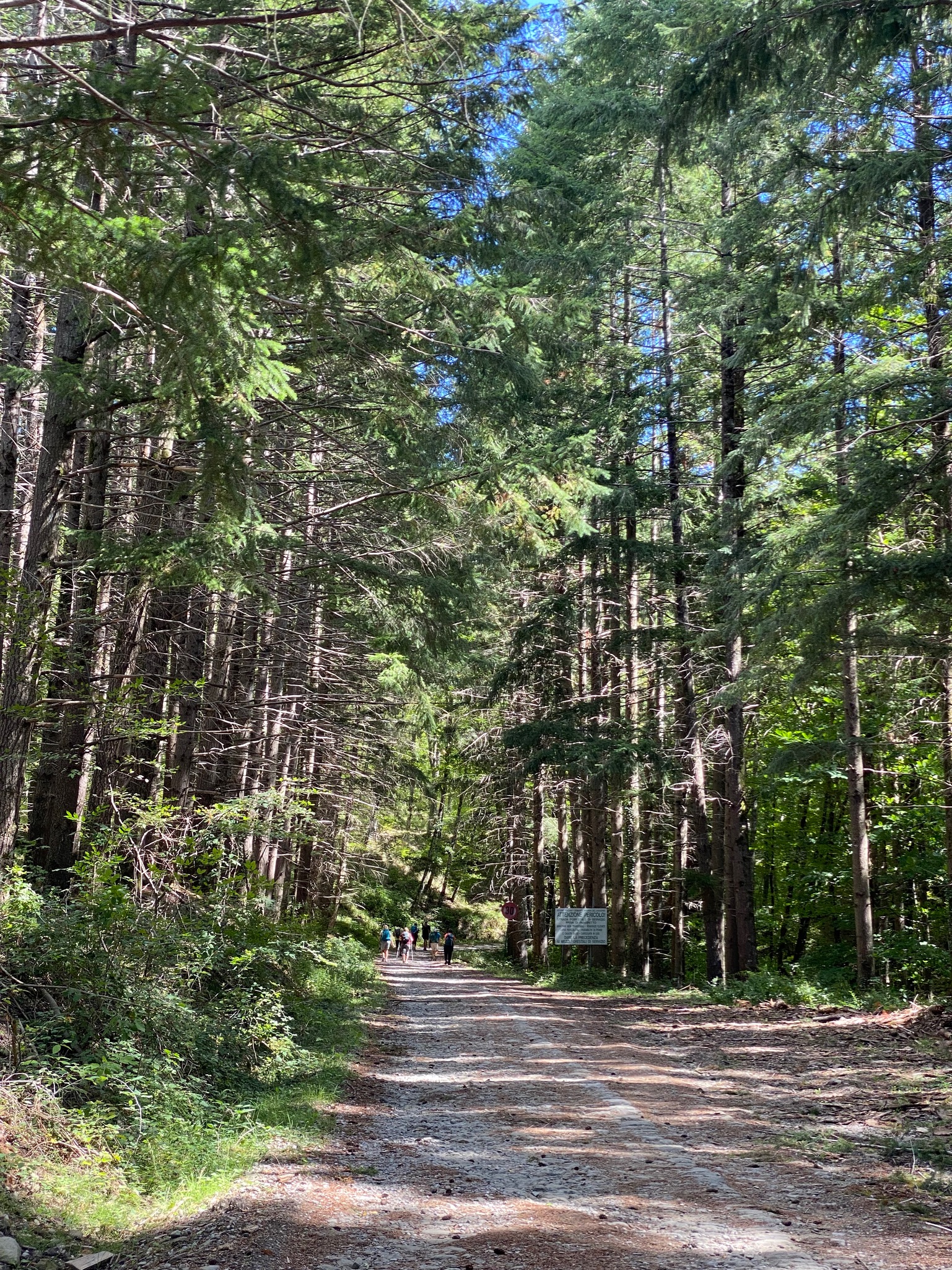 Day 5 - Stia to Camaldoli