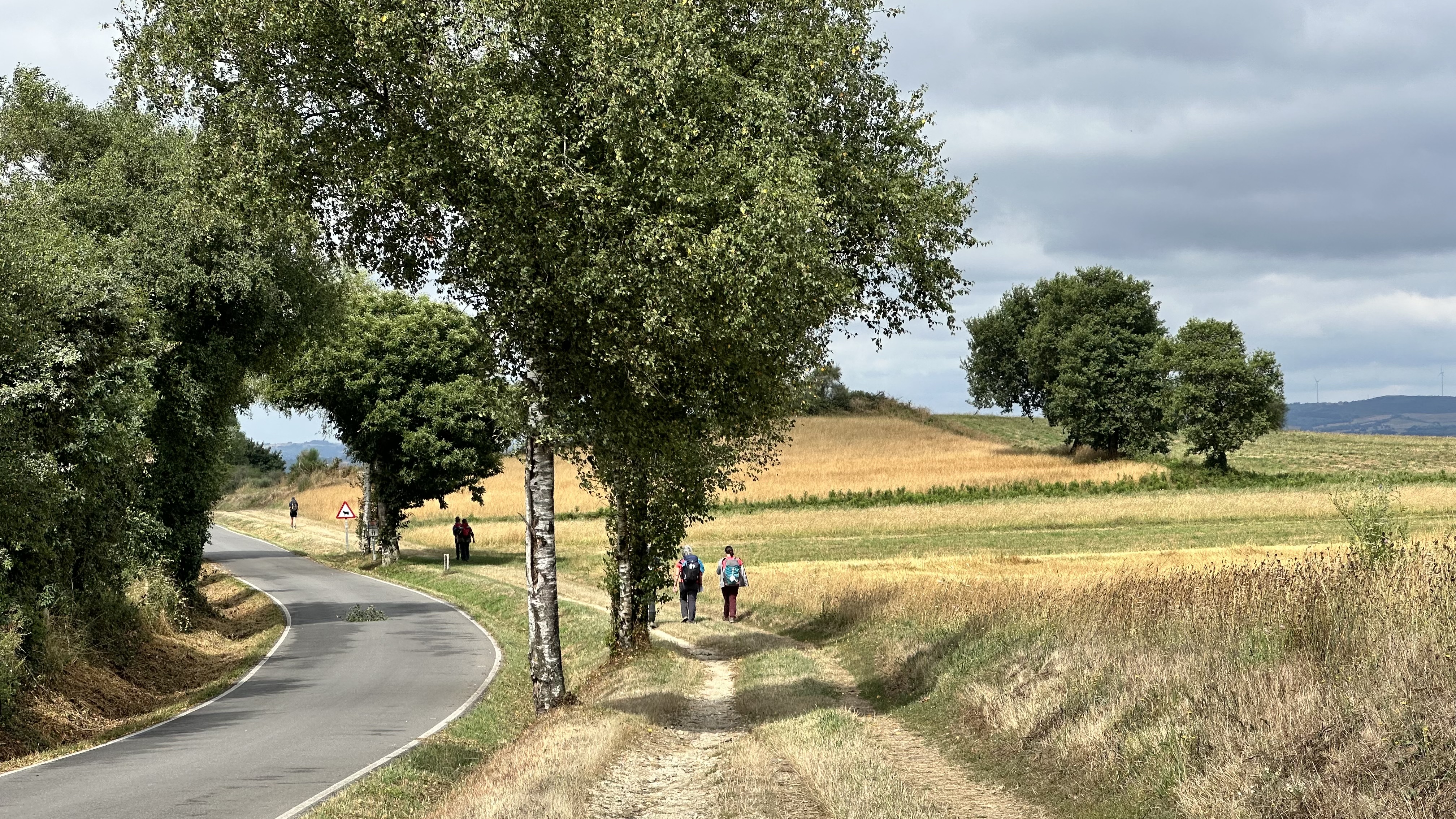 Day 31 - Triacastela to Sarria